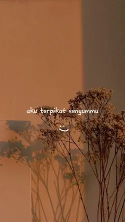 tak mau lagi aku