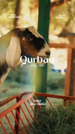 Qurban Idul Adha 