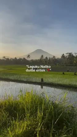 ENTEK DUITTE