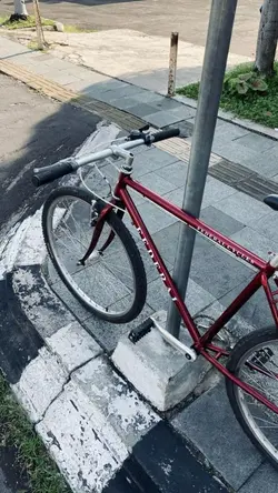 Aesthetic