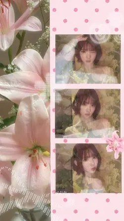 lilies