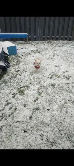 slowmo