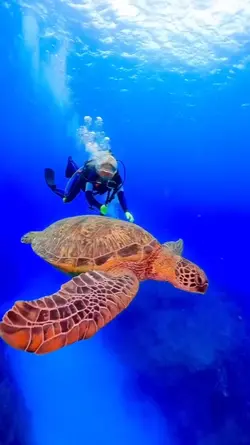 diving
