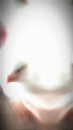 ไก่พม่า