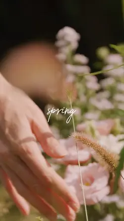 Spring Moments