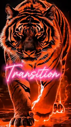 Transition 