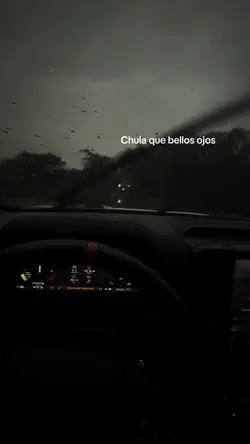 Qué bellos ojos