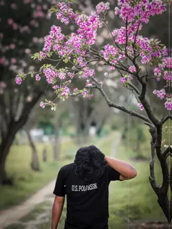 হিরামন পাখিরে তুই হিরামন পাখি🫡