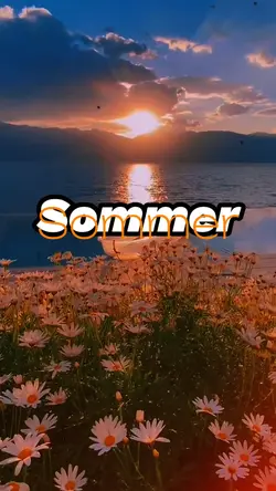 Sommer
