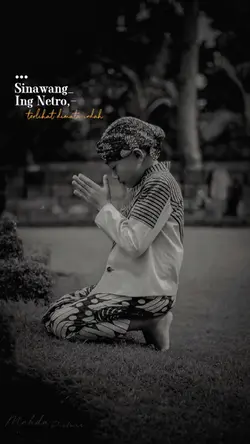 Sinawang ing netro