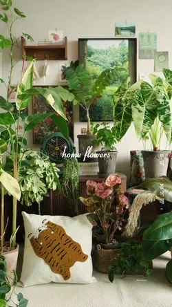 home flowers 