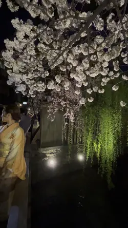 3分20clip KYOTOfilm祇園