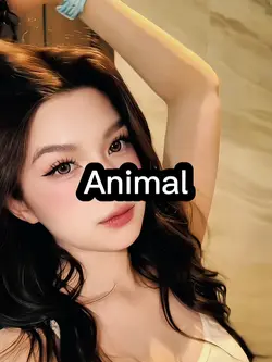 Animal