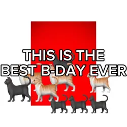 The best b-day