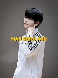 1 video + 19 ảnh 