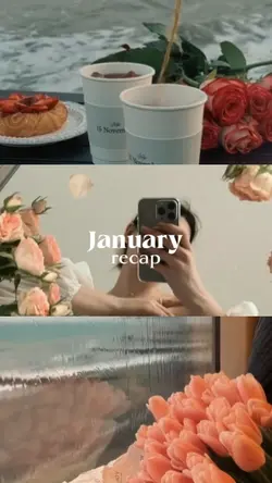 january recap 