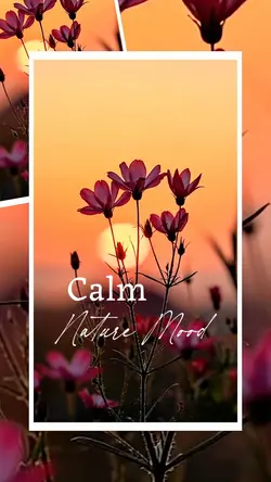 Calm Nature Mood