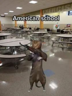 American school be