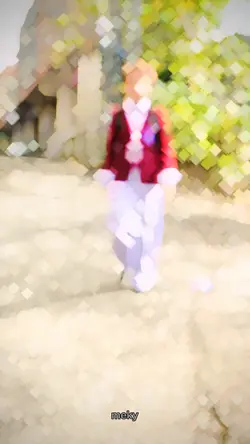MEKY’s template 