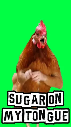 SUGAR ON MY CHICKEN
