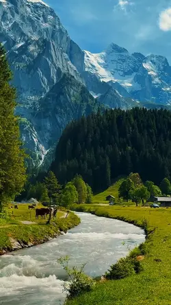 NATURE
