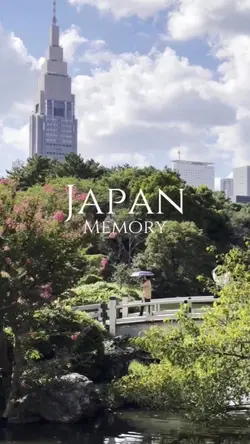 Japan Memory