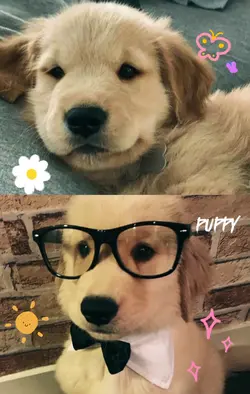 cutiee hihi