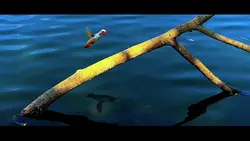 green screen bird