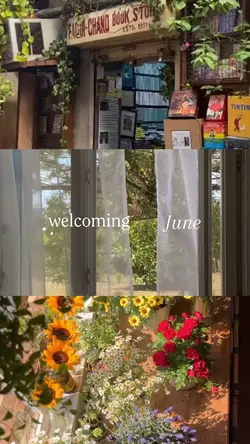 video collage (1)𐙚 ̊