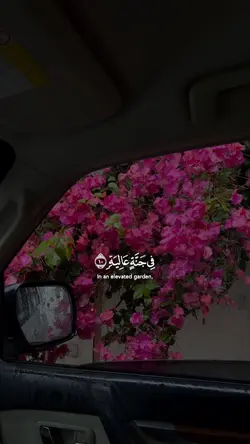 عبدالرحمن مسعد 💕