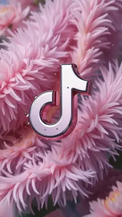 Tiktok Opening