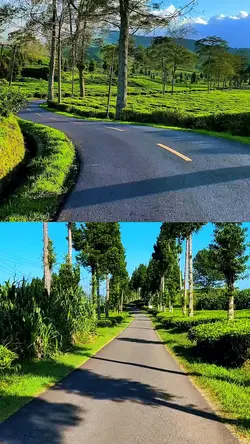 2 video 1 layout