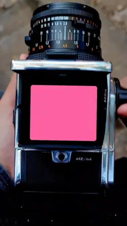 Camera Roll