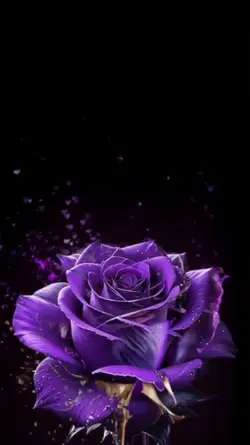 Purple Rose