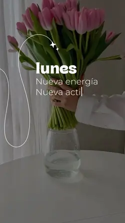 Frase lunes