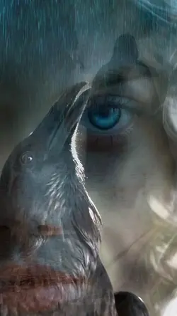 RAVEN SPIRIT 