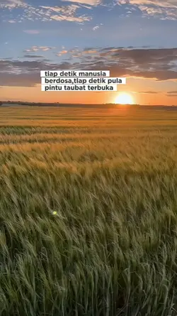 dil ko karar ayaa