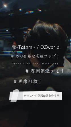 畳 -tatami- / OZworld