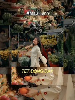 Mẫu 1 ảnh