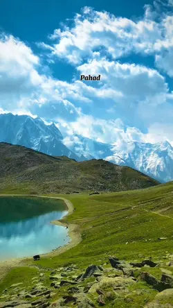 Sukoon 🥰