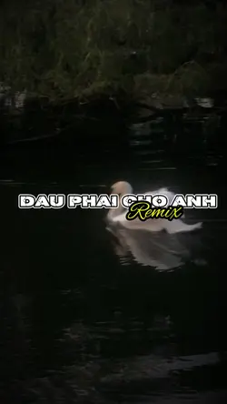 Đâu Phải Cho Anh