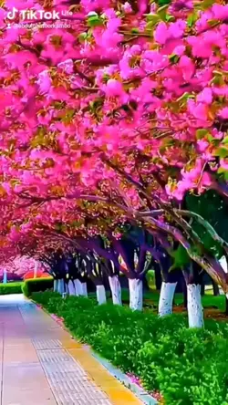 baharo phool barsao