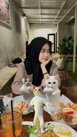 trio kucing joget