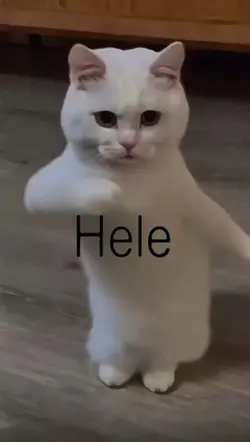 Hele dıgı dıgı