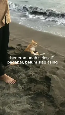 mari sad bareng yuk 