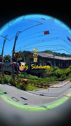 My Summer