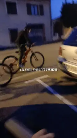 vsy viens 