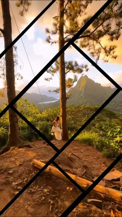 3 video or photo 
