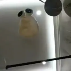 개학 싫어