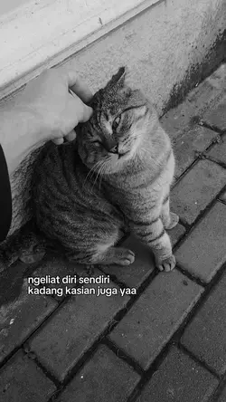 kasian juga yaa